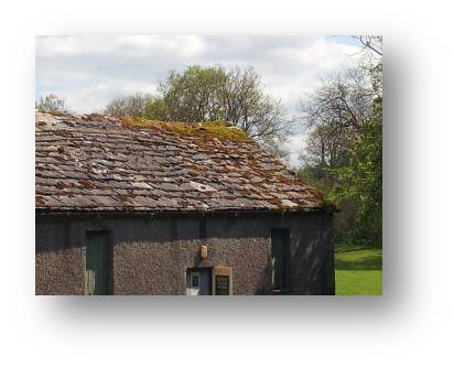 Image of the Temperance Hall roof