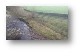 A picture of the farm track alongside Reebys bridge showing the high water level, still around a metre below the level of the path