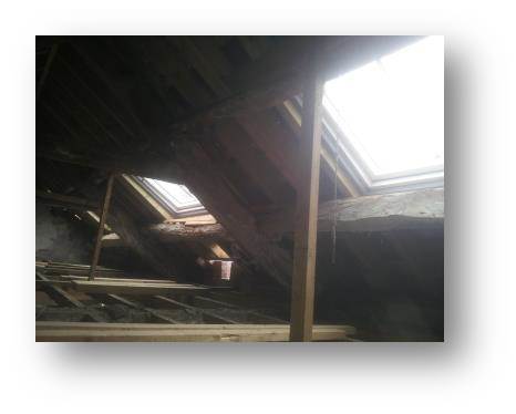 Inside looking out the skylights bring in a huge amount of light.