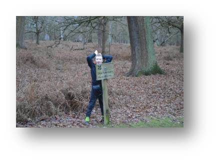 Adam trying to blend in with the herd.