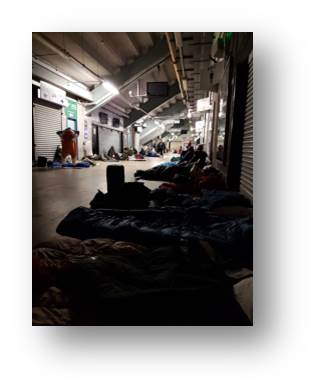 The view from inside through the skylights.