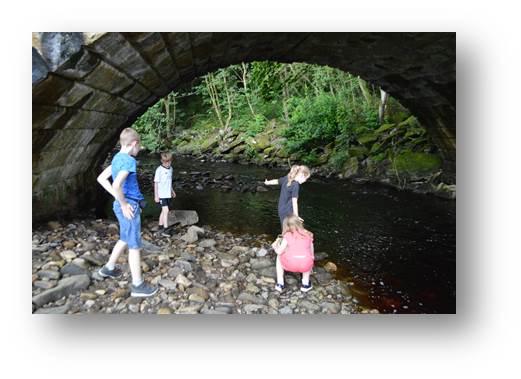 troll hunters extraordinaire