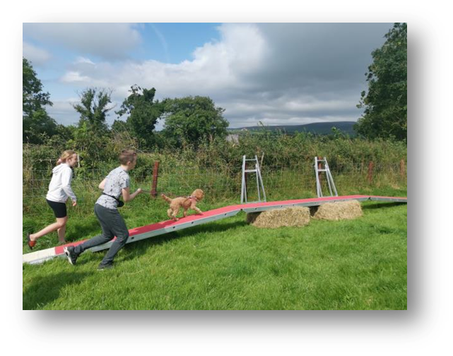 Ingleton Dog Show and Gymncana